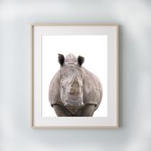 Poster Jungle / Safari Neushoorn - 50x40cm - Baby / Kinderkamer - Dieren Poster - Muurdecoratie