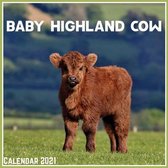 Baby Highland Cow Calendar 2021