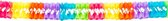 Boland - Decoraties - Slinger Fandango 6m Papier - Regenboog | Multicolor