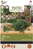 Buzzy® Patio Vegetables, Dille nano