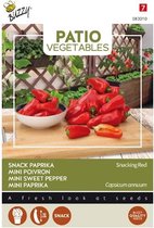 Buzzy® Patio Vegetables, Paprika Snacking Red