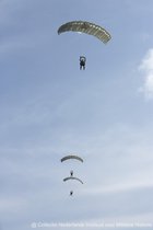 Schilderij Parachutisten Brigade - Dibond - Defensie - 50 x 80 cm