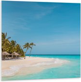 Forex - Tropisch Wit Strand met Blauwe Zee en Palmbomen - 100x100cm Foto op Forex