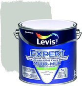Levis Expert Muurverf Binnen - Mat - Kleisteen - 2.5L