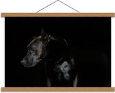 Schoolplaat – Hond op Zwarte Achtergrond - 60x40cm Foto op Textielposter (Wanddecoratie op Schoolplaat)