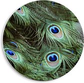 Forex Wandcirkel - Pauwenveren - 40x40cm Foto op Wandcirkel (met ophangsysteem)