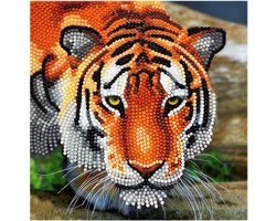 Crystal Card kit diamond painting The Tiger 18 x 18 cm