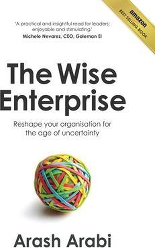 The Wise Enterprise - cover