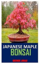 Japanese Maple Bonsai