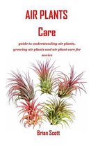 Air Plants Care