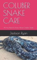 Coluber Snake Care