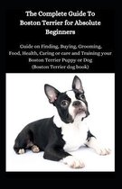 The Complete Guide To Boston Terrier For Absolute Beginners