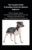 The Complete Guide To Brazillian Terrier For Absolute Beginners