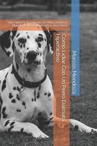 Como Lidiar Con Un Perro Dalmata Hiperactivo