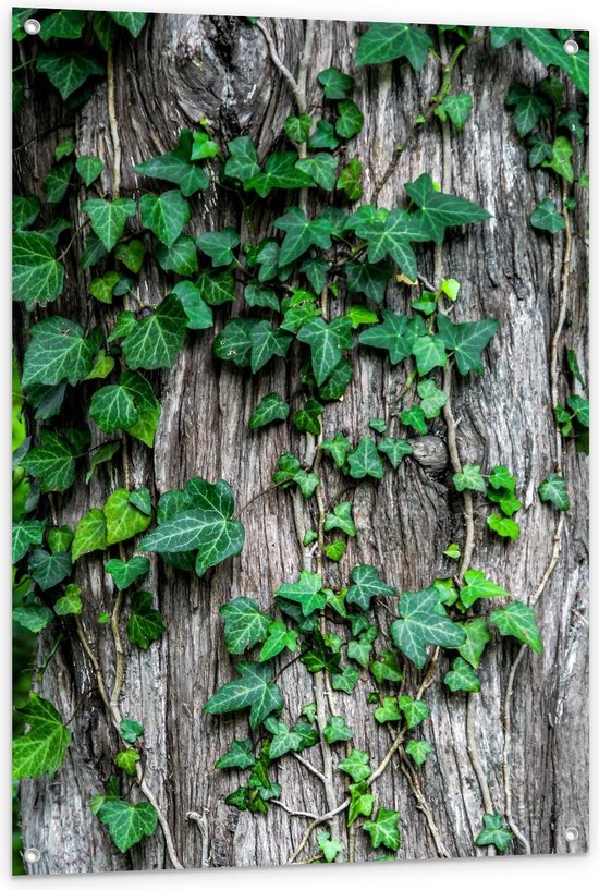 Tuinposter – Planten op Boomschors - 80x120cm Foto op Tuinposter  (wanddecoratie voor buiten en binnen)