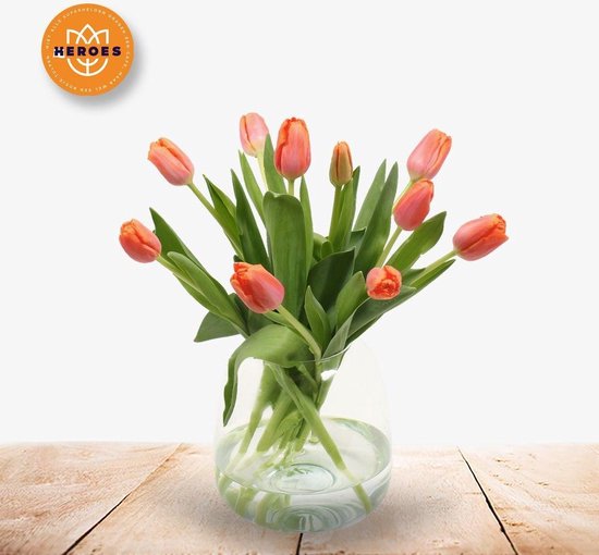 Vochtigheid erotisch Spelling e-bloom HEROES Tulpen in Vaas | bol.com