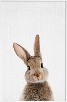 JUNIQE - Poster in kunststof lijst Baby konijn kleurenfoto -20x30