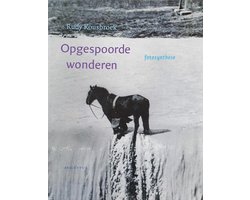 Opgespoorde wonderen