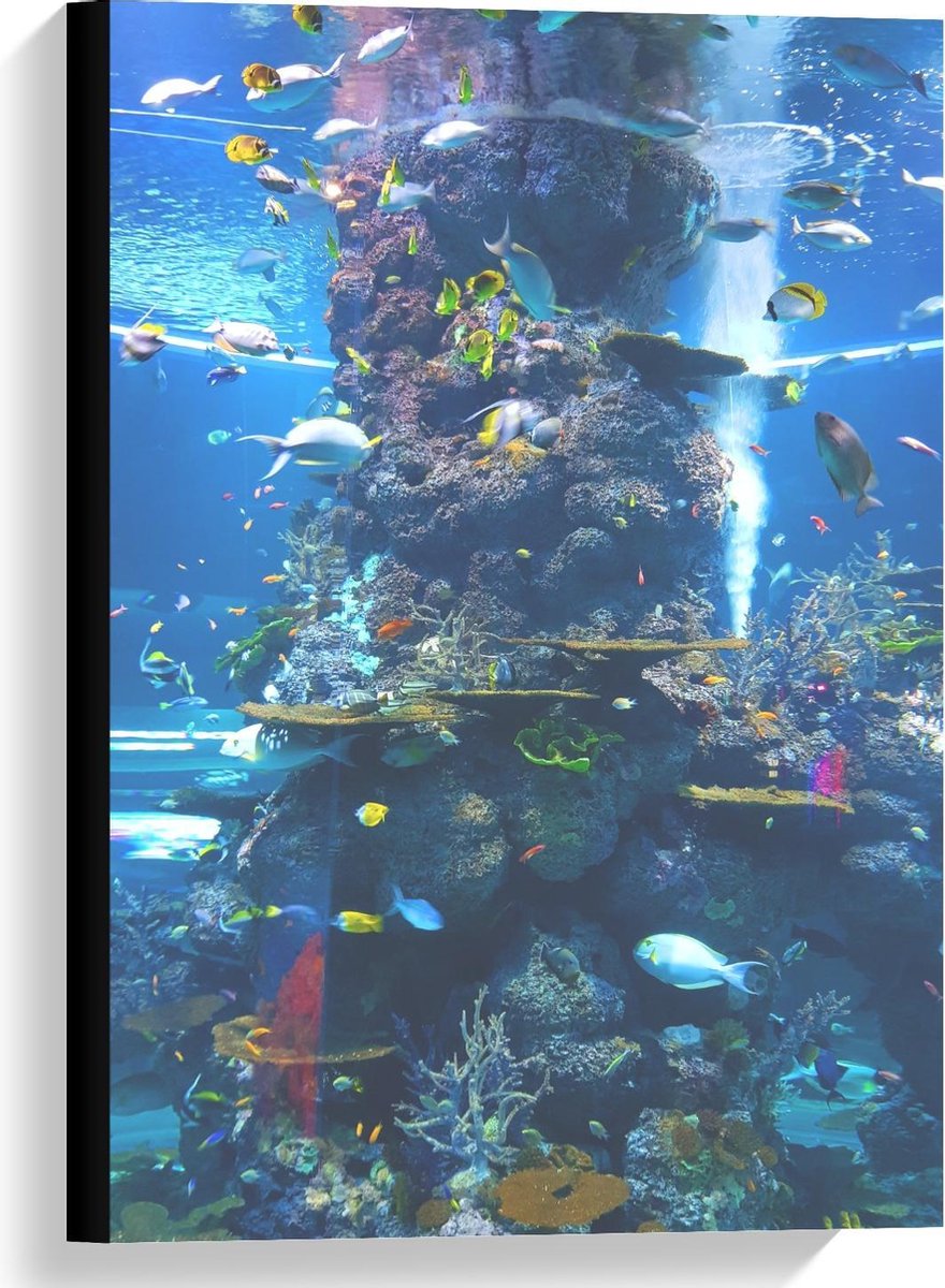Canvas  - Tropische Vissen in Aquarium  - 40x60cm Foto op Canvas Schilderij (Wanddecoratie op Canvas)