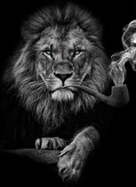 Big Smoking Lion 80 x 120 cm Foto op Acrylglas incl. luxe ophangframe