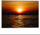 Forex - Mensen in Zee tijdens Zonsondergang - 40x30cm Foto op Forex