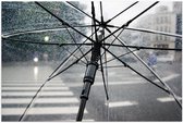 Poster – Doorzichtige Paraplu in de Regen - 90x60cm Foto op Posterpapier