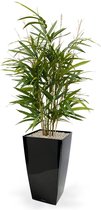 Royal Bamboe kunstplant 70cm - groen