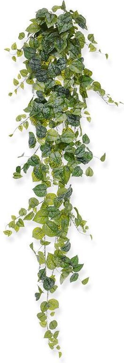 maxifleur Kunstplanten Scindapsus Pictus kunst hangplant 170cm Groen