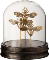 J-Line decoratie Stolp Vlinder - poly/glas - goud