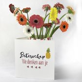 Bloomincard Piccolini - Beterschap - bloemen en boeketten - Verse Piccolini's met unieke vaas - Brievenbusbloemen - Beterschap wensen met Piccolini's en speciale kaart die je om ku