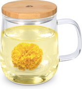 Theeglas met zeef en bamboedeksel - theekopje glas voor 500 ml thee - voor losse thee of theezakje - mok van borosilicaatglas met deksel