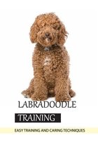 Labradoodle Training- Easy Training And Caring Techniques