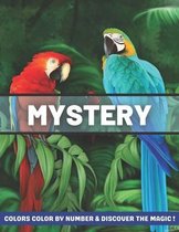 Mystery Colors Color By Number & Discover The Magic!