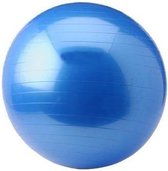 Ballon de gym - Focus Fitness - 55 cm