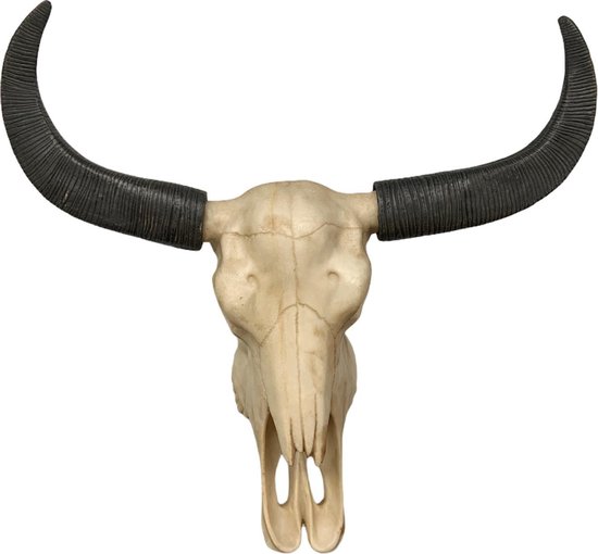 browser hoogte Grammatica Buffel schedel met hoorns - SKULL - zwart - polystone - muurdecoratie - 44  x 42 cm | bol.com