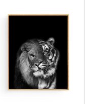 Poster Safari Leeuw Tijger Hoofd ( Zwart / Wit )  - 70x50cm - Safari Jungle Dieren - Muurdecoratie