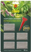 Compo Groene planten- en palmmeststokken met guano - 30 stuks