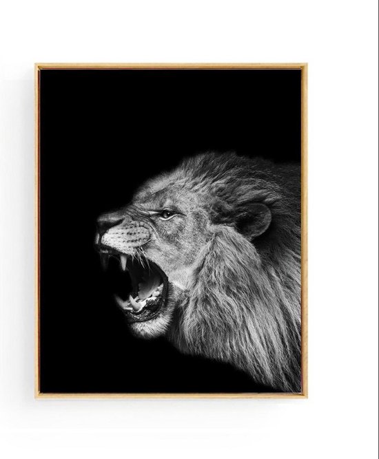 Poster Safari Leeuw Brul - zwart / wit - 70x50cm - Safari Jungle Dieren - Muurdecoratie