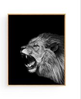 Poster Safari Leeuw Brul - zwart / wit - 50x40cm - Safari Jungle Dieren - Muurdecoratie