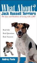 What About Jack Russell Terriers
