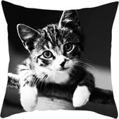 Dieren kussenhoes kat - Black and White - Sierkussen - 45x45 cm