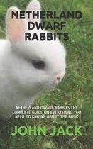 Netherland Dwarf Rabbits: Netherland Dwarf Rabbits