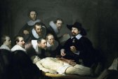De Anatomische Les Van Dr. Nicolaes Tulp | Rembrandt Van Rijn Mauritshuis Schilderij| Legpuzzel 252 stukjes