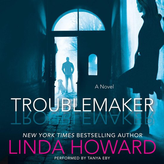 Troublemaker - cover