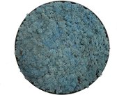Mosschilderij Julia Pine Green  ø 40 cm Rendiermos Aquamarijn