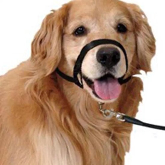 Honden Hoofdhalsband - Leader voor Honden - Tegen Trekken - Zwart - - Gentle... | bol.com