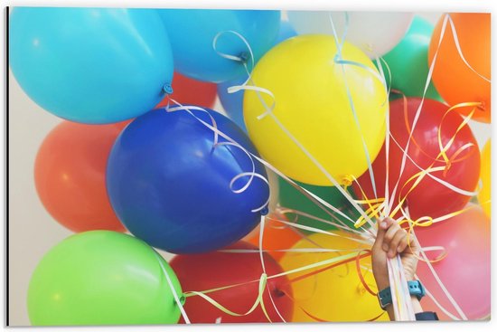 Dibond - Gekleurde Ballonnen aan Wit Touw - 60x40cm Foto op Aluminium (Met Ophangsysteem)