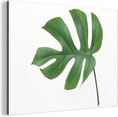 Wanddecoratie Metaal - Aluminium Schilderij Industrieel - Botanisch blad op een witte achtergrond - 120x90 cm - Dibond - Foto op aluminium - Industriële muurdecoratie - Voor de woonkamer/slaapkamer