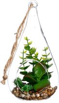 Glazen terrarium, druppelvorm H19.5cm - Overig - groen - Transparent - Succulente - SILUMEN