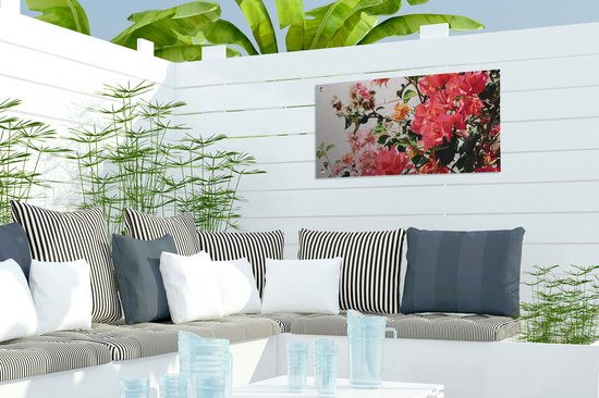 Tuinposter 60x30 cm - Tuindecoratie Bloemen - Struik - Zomer - Roze - Poster voor in de tuin - Buiten decoratie - Schutting tuinschilderij - Tuindoek muurdecoratie - Wanddecoratie balkondoek